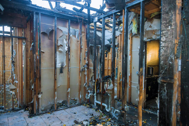 Professional Fire Damage Removal technician working in Tornillo, TX